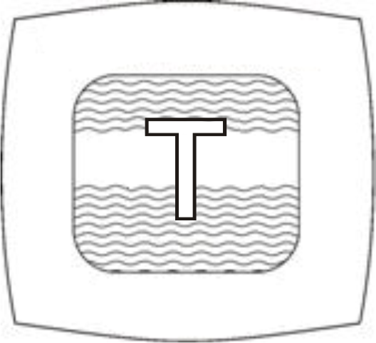 Logo sesja T